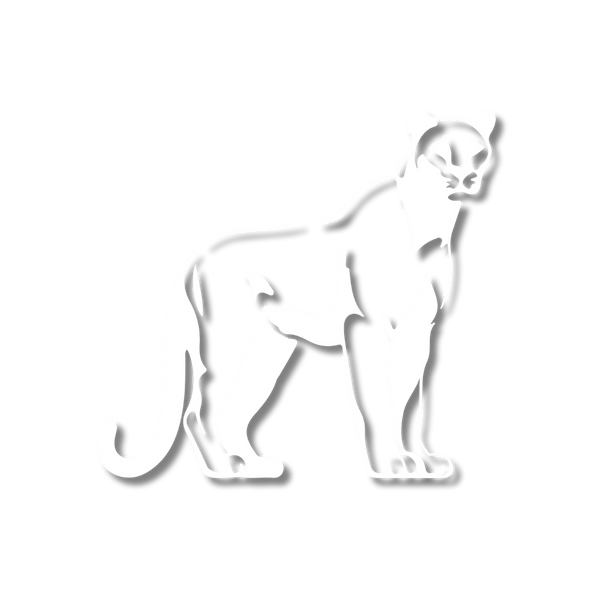 PANTHER & Co